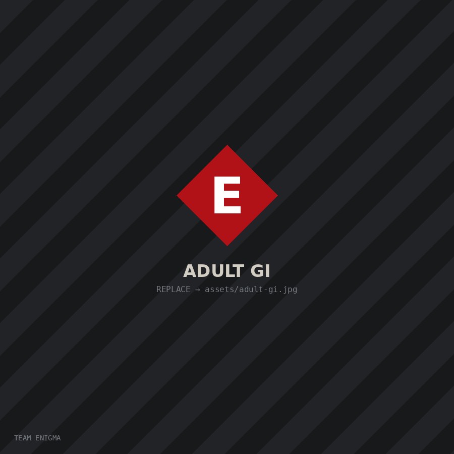 Adult jiu jitsu class